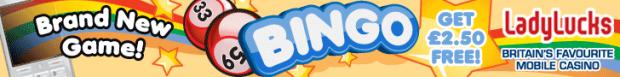 Name:  BingoNewGame2011-728x90.jpg
Views: 152
Size:  15.9 KB